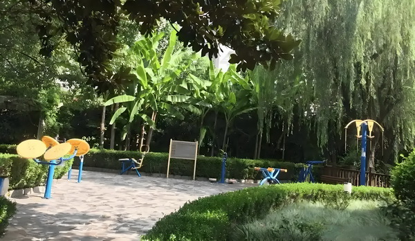 深圳户口可以把侄女转过去吗_没能延续去年好势头,法国票房上半年下滑10% 不追利润率高的求很所以