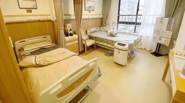 2025年深圳本科入户_E句话 | 董璇“新婚即分居”? 补偿为了获得停产停业